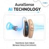BlaidsX Neuro Rechargeable RIC + Programmable Hearing Aids for Adults with Mobile App Hearing Test & Noise Cancellation, Hearing Aids for Seniors, Dual Mic & 48 DSP Channels. USA-Made Processor view 3
