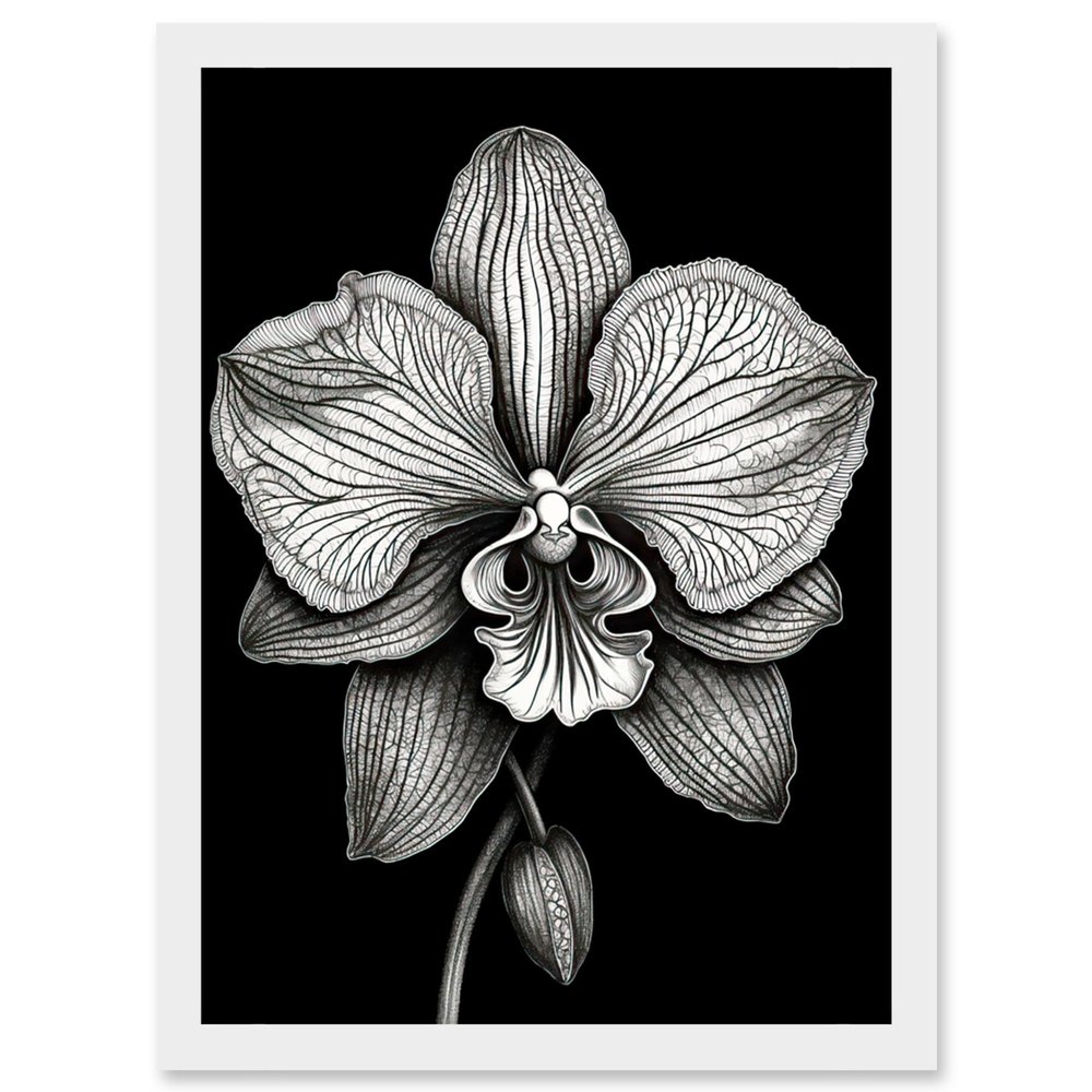 Artery8 Detailed Orchid Flower Petals in Black and White Artwork Framed Wall Art Print A4