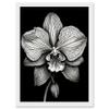 Artery8 Detailed Orchid Flower Petals in Black and White Artwork Framed Wall Art Print A4 view 1