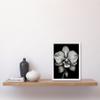 Artery8 Detailed Orchid Flower Petals in Black and White Artwork Framed Wall Art Print A4 view 2