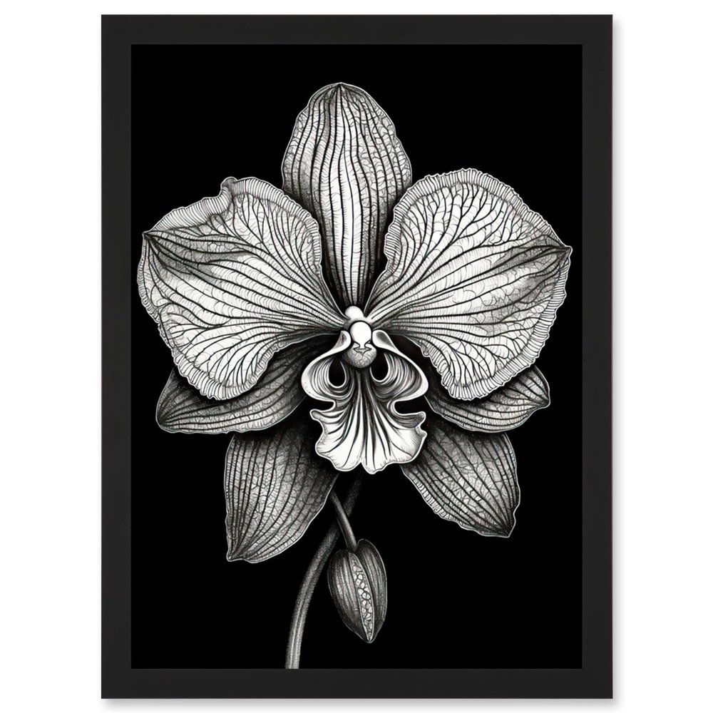 Artery8 Detailed Orchid Flower Petals in Black and White Artwork Framed Wall Art Print A4