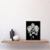 Artery8 Detailed Orchid Flower Petals in Black and White Artwork Framed Wall Art Print A4 view 2