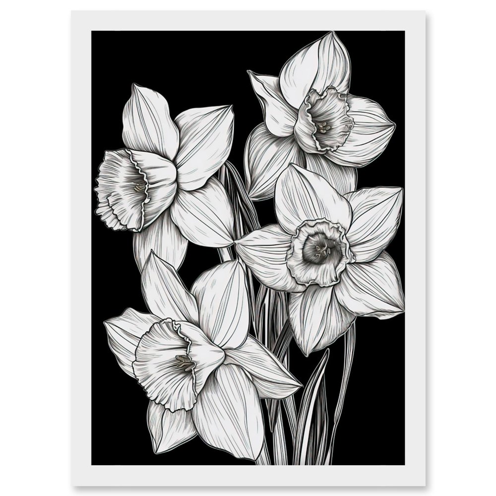 Artery8 Daffodil Wildflower Plant Blooms Black and White Artwork Framed Wall Art Print A4