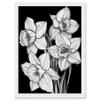 Artery8 Daffodil Wildflower Plant Blooms Black and White Artwork Framed Wall Art Print A4 view 1