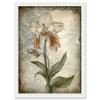 Artery8 Single Orchid Flower Pastel Colour Art Nouveau Artwork Framed Wall Art Print A4 view 1
