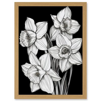 Artery8 Daffodil Wildflower Plant Blooms Black and White Artwork Framed Wall Art Print A4