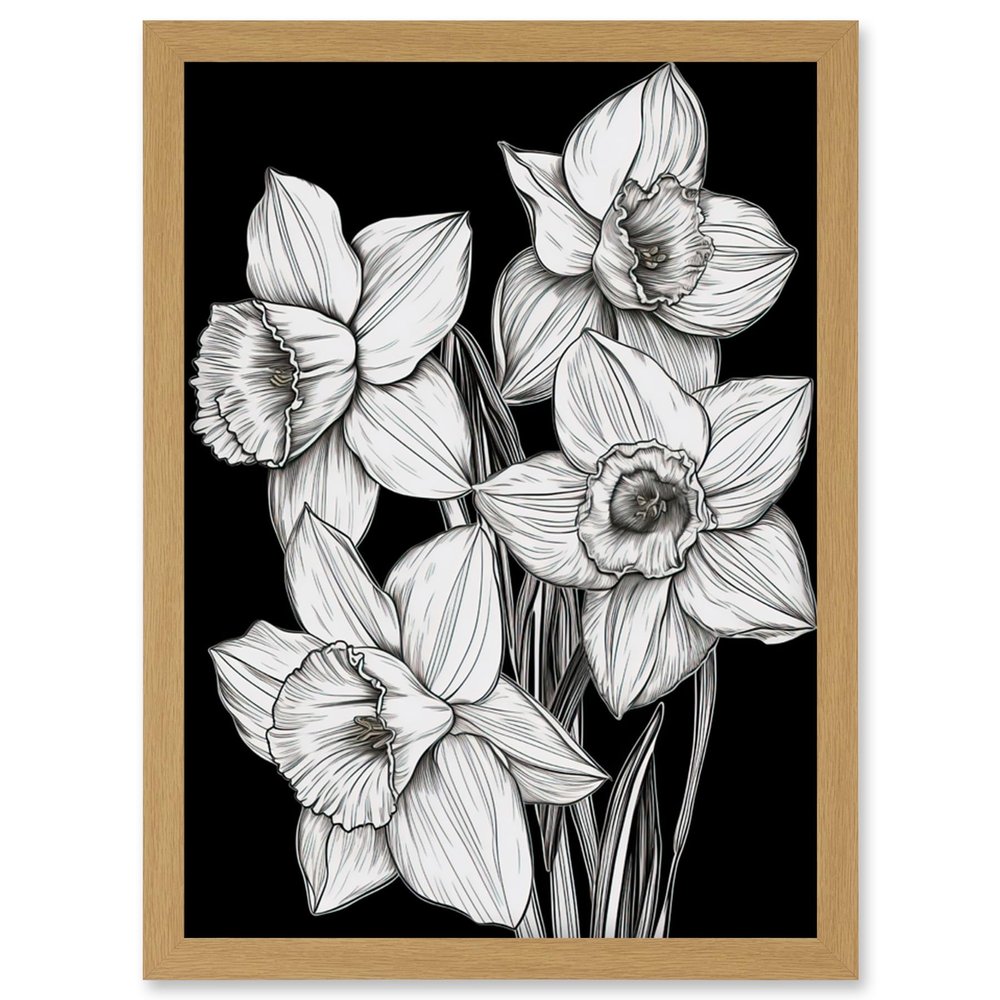Artery8 Daffodil Wildflower Plant Blooms Black and White Artwork Framed Wall Art Print A4
