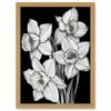Artery8 Daffodil Wildflower Plant Blooms Black and White Artwork Framed Wall Art Print A4 view 1