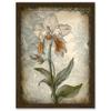 Artery8 Single Orchid Flower Pastel Colour Art Nouveau Artwork Framed Wall Art Print A4 view 1
