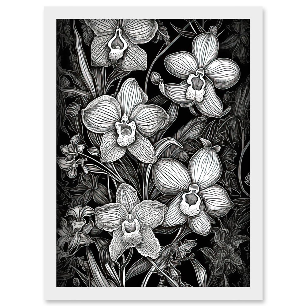 Artery8 White on Black Blooming Orchid Flower Plants Artwork Framed Wall Art Print A4