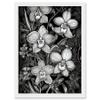 Artery8 White on Black Blooming Orchid Flower Plants Artwork Framed Wall Art Print A4 view 1