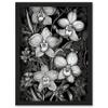 Artery8 White on Black Blooming Orchid Flower Plants Artwork Framed Wall Art Print A4 view 1