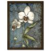 Artery8 Orchid Flower Blooms Pastel Colour Art Nouveau Artwork Framed Wall Art Print A4 view 1