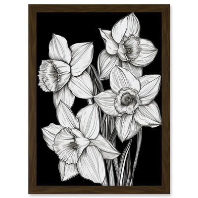 Artery8 Daffodil Wildflower Plant Blooms Black and White Artwork Framed Wall Art Print A4