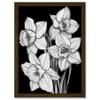 Artery8 Daffodil Wildflower Plant Blooms Black and White Artwork Framed Wall Art Print A4 view 1