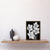 Artery8 Daffodil Wildflower Plant Blooms Black and White Artwork Framed Wall Art Print A4 view 2