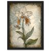 Artery8 Single Orchid Flower Pastel Colour Art Nouveau Artwork Framed Wall Art Print A4 view 1