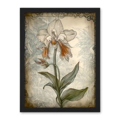 Artery8 Single Orchid Flower Pastel Colour Art Nouveau Artwork Framed Wall Art Print 18X24 Inch