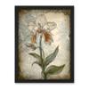 Artery8 Single Orchid Flower Pastel Colour Art Nouveau Artwork Framed Wall Art Print 18X24 Inch view 1