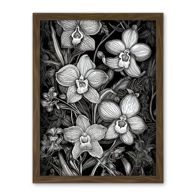 Artery8 White on Black Blooming Orchid Flower Plants Artwork Framed Wall Art Print 18X24 Inch