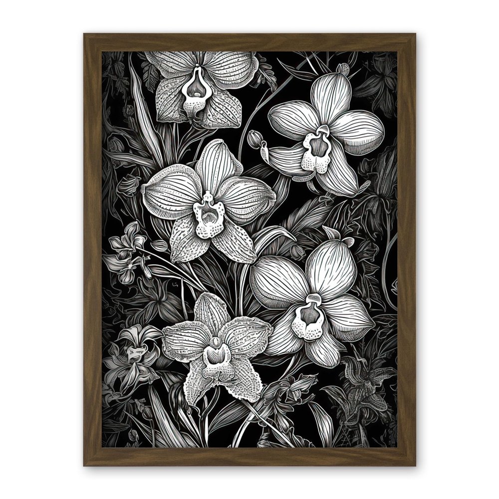 Artery8 White on Black Blooming Orchid Flower Plants Artwork Framed Wall Art Print 18X24 Inch