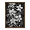 Artery8 White on Black Blooming Orchid Flower Plants Artwork Framed Wall Art Print 18X24 Inch view 1