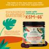 Ashwagandha KSM-66 Gummies for Kids & Teens - Pure Organic Root Extract Ayurvedic Supplement Gummy - Focus Mood Support Increase Energy Strength 600mg of Natural KSM66 for Superior Absorption view 2