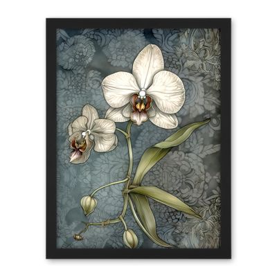 Artery8 Orchid Flower Blooms Pastel Colour Art Nouveau Artwork Framed Wall Art Print 18X24 Inch