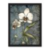 Artery8 Orchid Flower Blooms Pastel Colour Art Nouveau Artwork Framed Wall Art Print 18X24 Inch