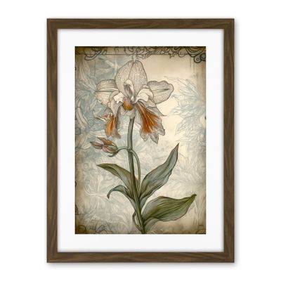 Artery8 Single Orchid Flower Pastel Colour Art Nouveau Artwork Framed Wall Art Print 18X24 Inch