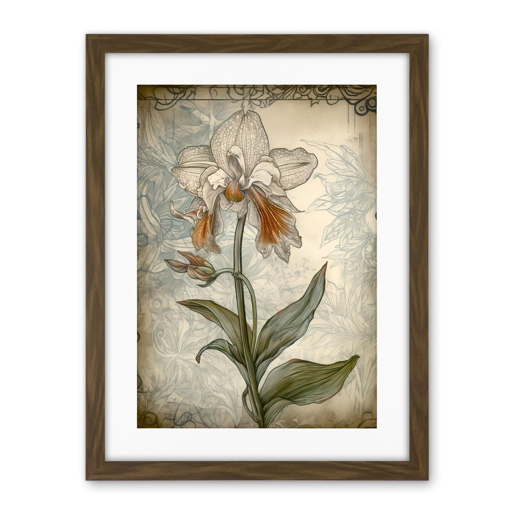 Artery8 Single Orchid Flower Pastel Colour Art Nouveau Artwork Framed Wall Art Print 18X24 Inch