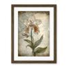 Artery8 Single Orchid Flower Pastel Colour Art Nouveau Artwork Framed Wall Art Print 18X24 Inch view 1