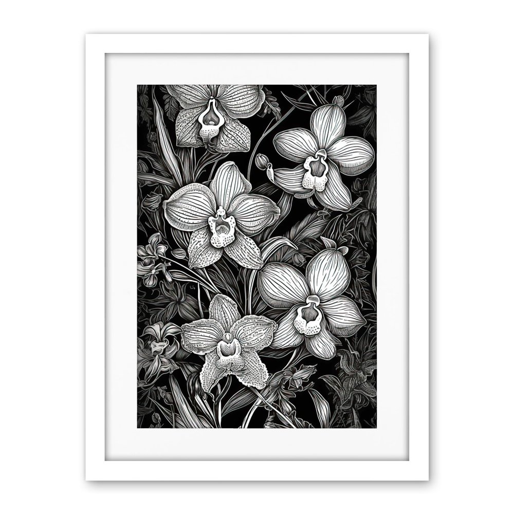 Artery8 White on Black Blooming Orchid Flower Plants Artwork Framed Wall Art Print 18X24 Inch