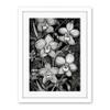 Artery8 White on Black Blooming Orchid Flower Plants Artwork Framed Wall Art Print 18X24 Inch view 1