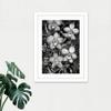 Artery8 White on Black Blooming Orchid Flower Plants Artwork Framed Wall Art Print 18X24 Inch view 2