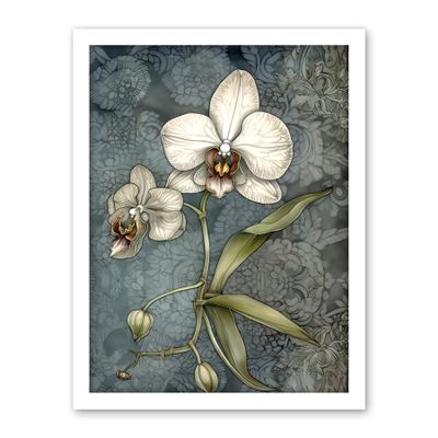 Artery8 Orchid Flower Blooms Pastel Colour Art Nouveau Artwork Framed Wall Art Print 18X24 Inch