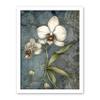 Artery8 Orchid Flower Blooms Pastel Colour Art Nouveau Artwork Framed Wall Art Print 18X24 Inch view 1