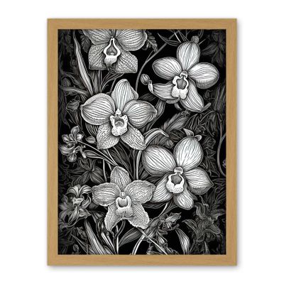 Artery8 White on Black Blooming Orchid Flower Plants Artwork Framed Wall Art Print 18X24 Inch