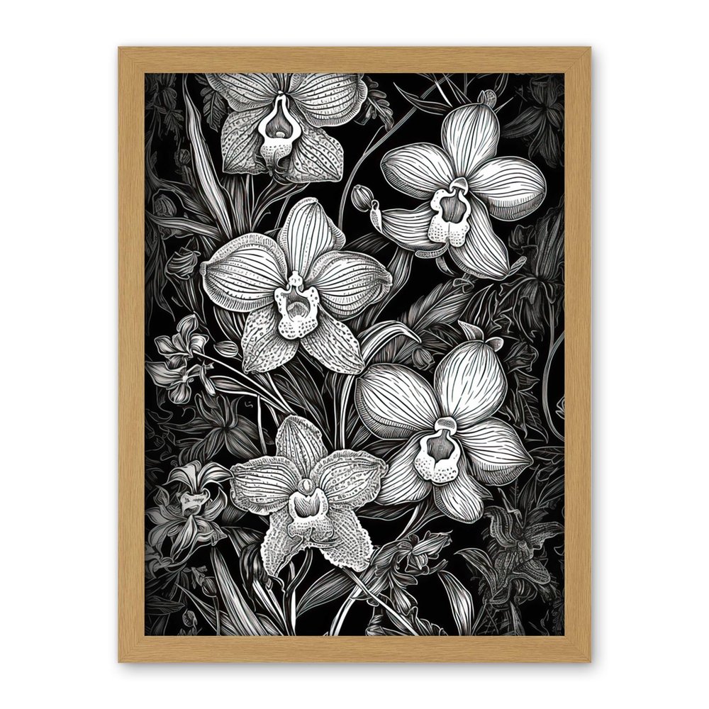 Artery8 White on Black Blooming Orchid Flower Plants Artwork Framed Wall Art Print 18X24 Inch