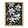 Artery8 White on Black Blooming Orchid Flower Plants Artwork Framed Wall Art Print 18X24 Inch view 1
