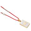 BAIYI HOPE Medical Alert ID Necklace for Women and Men Gold-Tone Stainless Steel Diabetes Health Alarm Tag Pendant with Adjustable Braided Rope 18-26in (Free Engraving) view 2