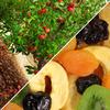 Dried Mixed Fruit with Prunes by It's Delish, 12 Oz Bag | Snack Mix of Prunes, Apricots, Plums, Apple Rings, Nectarines, Peaches, Pears, Kiwi Slices | Dry Fruits - Vegan Kosher Healthy Snacks view 4