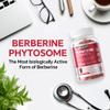Berberine Supplement 1500mg,Sugar Free Berberine with Ceylon Cinnamon Gummies,Chromium,Turmeric, Fenugreek for Naturally Metabolism Balanced, Berberine HCl from Indian Barberry Extract, 120 Cts view 4