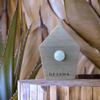 Singing Bird Box Dejama Ambient Noise Birds Chirping Songs Zwitscher Bathroom Sounds Relaxing view 2