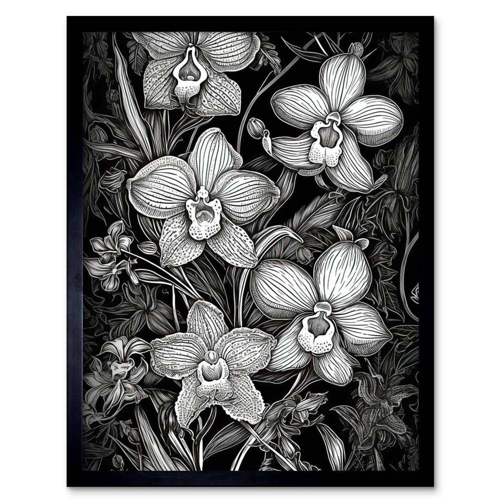 Artery8 White on Black Blooming Orchid Flower Plants Artwork Framed Wall Art Print 9X7 Inch