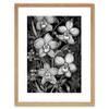 Artery8 White on Black Blooming Orchid Flower Plants Artwork Framed Wall Art Print 9X7 Inch view 1