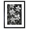 Artery8 White on Black Blooming Orchid Flower Plants Artwork Framed Wall Art Print 9X7 Inch view 1