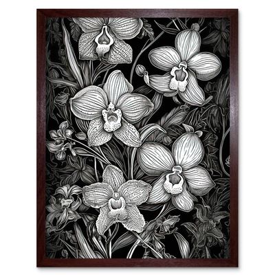 Artery8 White on Black Blooming Orchid Flower Plants Artwork Framed Wall Art Print 9X7 Inch