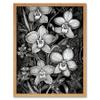 Artery8 White on Black Blooming Orchid Flower Plants Artwork Framed Wall Art Print 9X7 Inch view 1