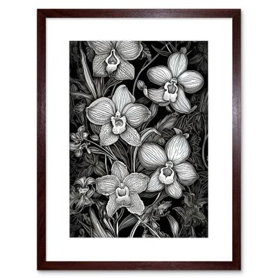 Artery8 White on Black Blooming Orchid Flower Plants Artwork Framed Wall Art Print 9X7 Inch